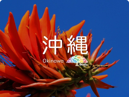 沖縄 Okinama