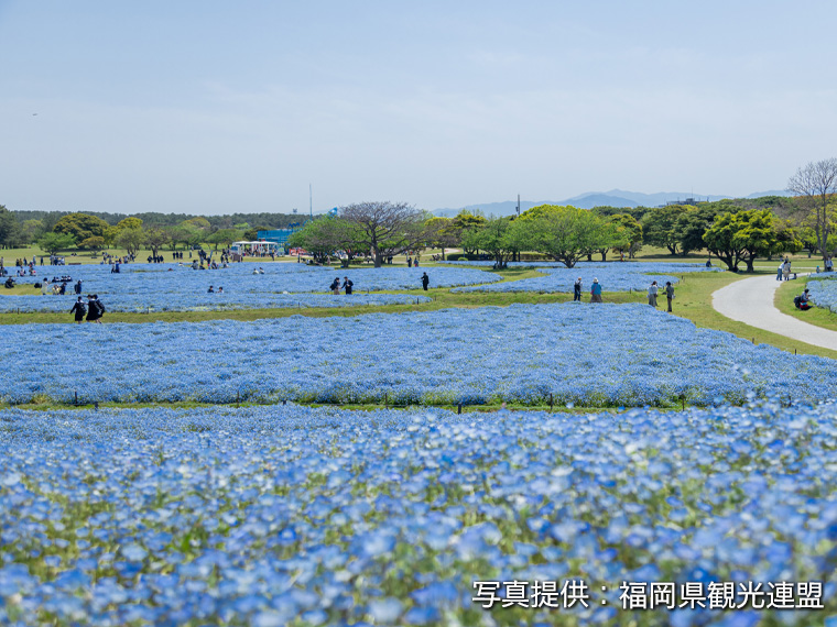 海の中道海浜公園