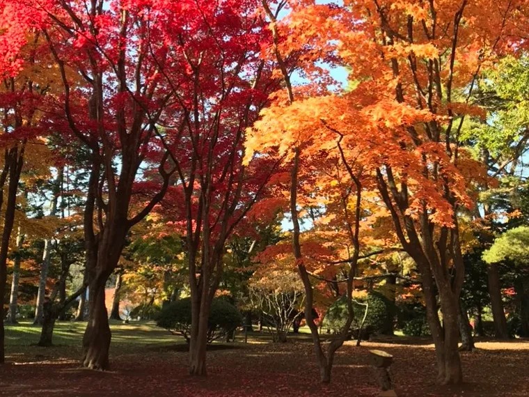 旧岩船氏庭園 香雪園