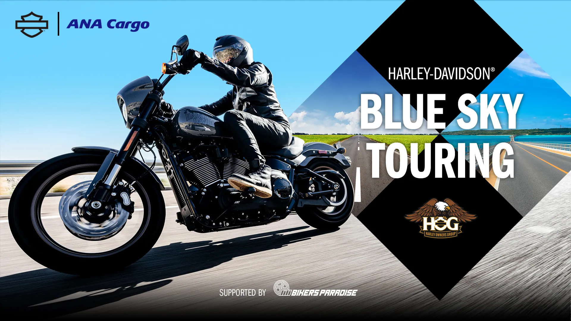 HARLEY-DAVIDSON Blue Sky Touring