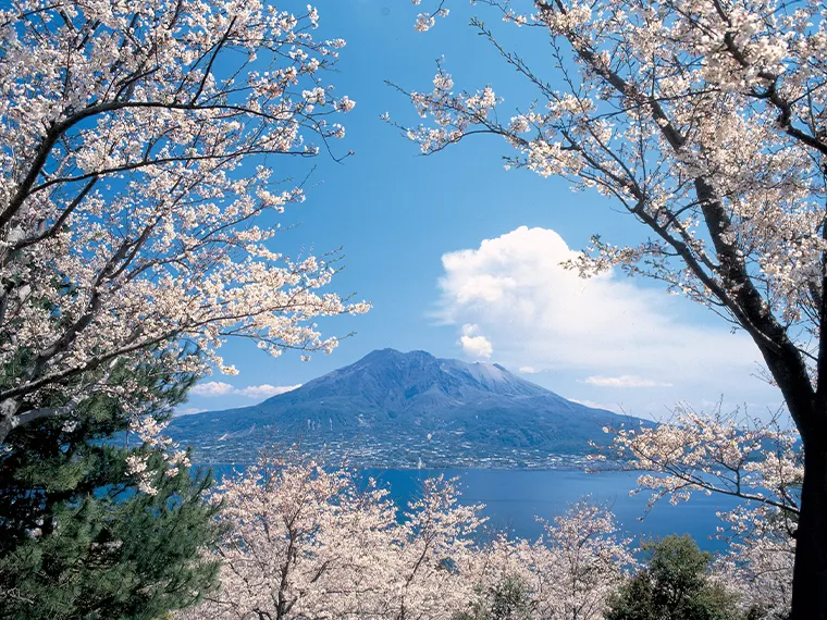 桜島