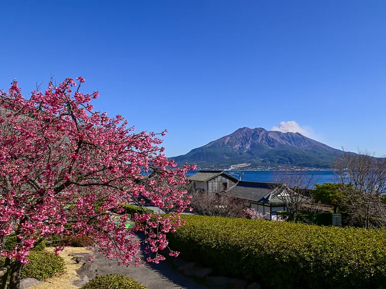 仙巌園