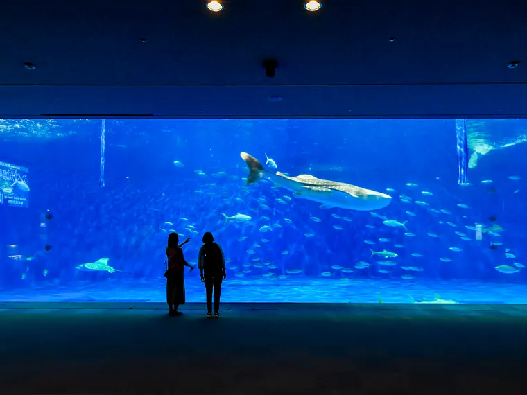 いおワールドかごしま水族館