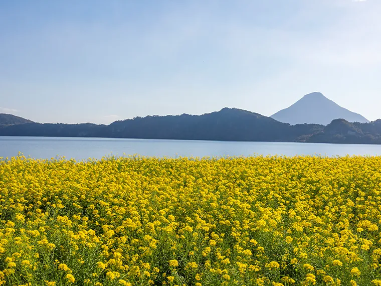 池田湖