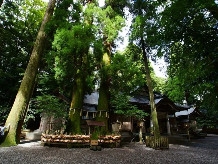 高千穂神社