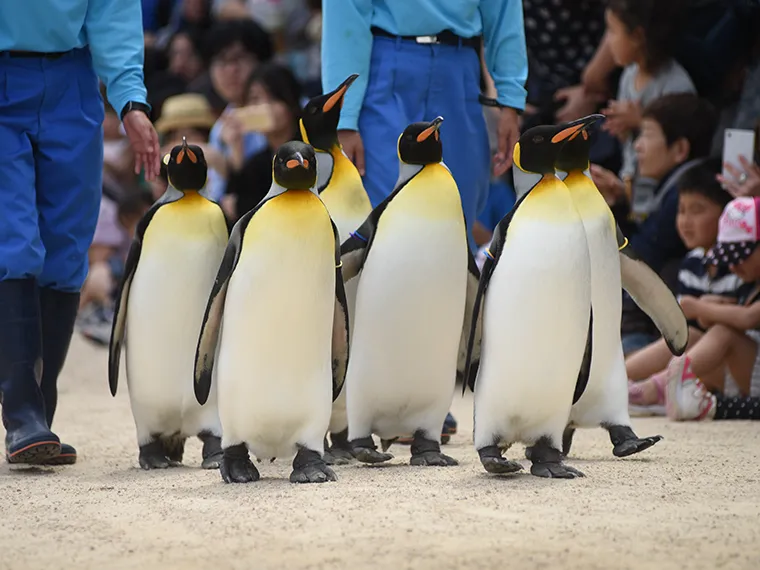 長崎ペンギン水族館