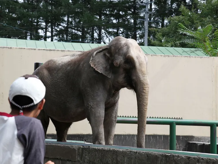 おびひろ動物園