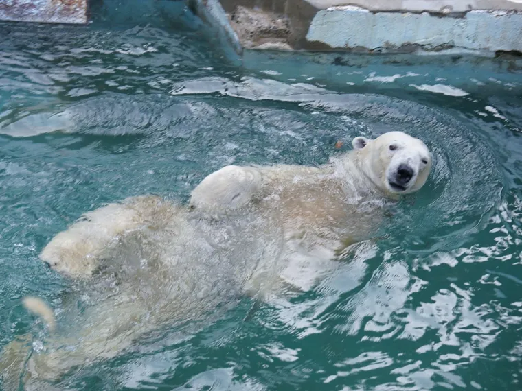 天王寺動物園