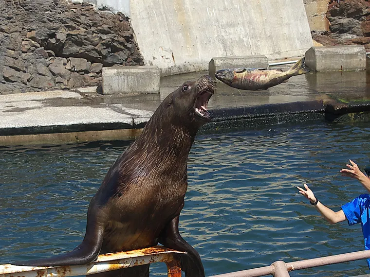 おたる水族館