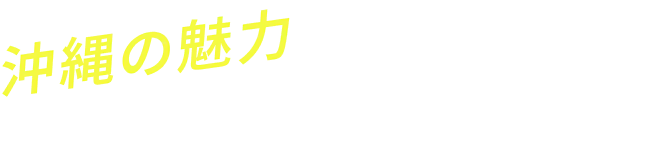 沖縄の魅力を余すことなく楽しめる！