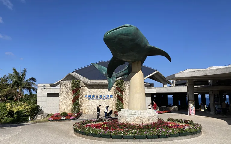 美ら海水族館入館券