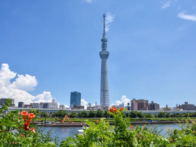 東京スカイツリー