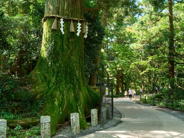 高尾山