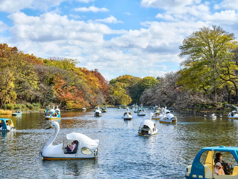 井の頭恩賜公園