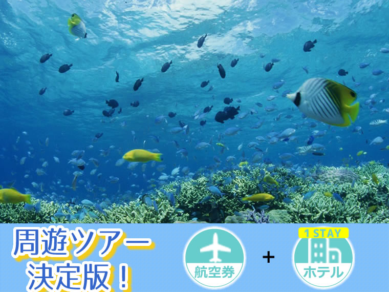 ツアー詳細:宮古マルチ(2019上期)1泊フリー