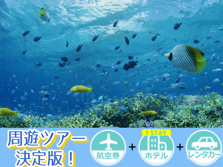 【5~11月出発】 周遊ツアー決定版!ANAで行く宮古島!選べるフライト&ホテル(1泊付)レンタカー付・九州発 1泊2日