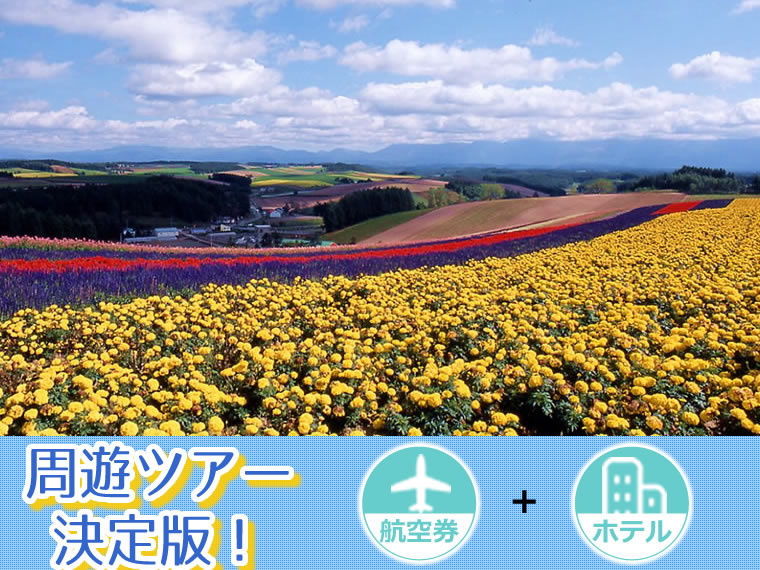 【5~11月出発】周遊ツアー決定版!ANAで行く北海道!選べるフライト&ホテル・中部発 3泊4日