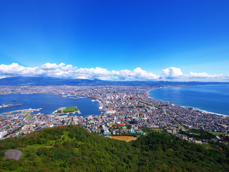SALE!函館空港利用で選べるホテル(函館・湯の川温泉・大沼)・中部発 1泊2日