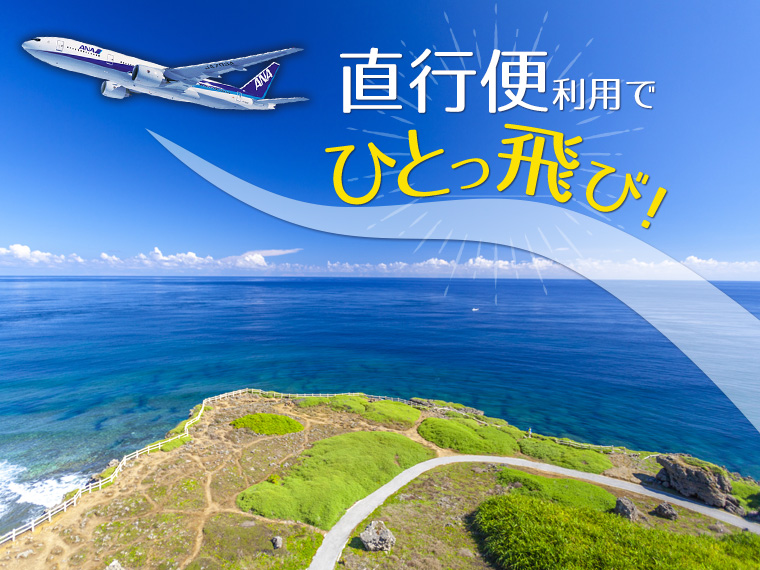 ANA直行便&選べる宮古島ホテル・関東発 2泊3日