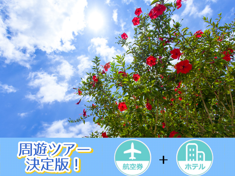 ツアー詳細【沖縄】:宮古島&沖縄本島自由自在ツアー(11-5)2019