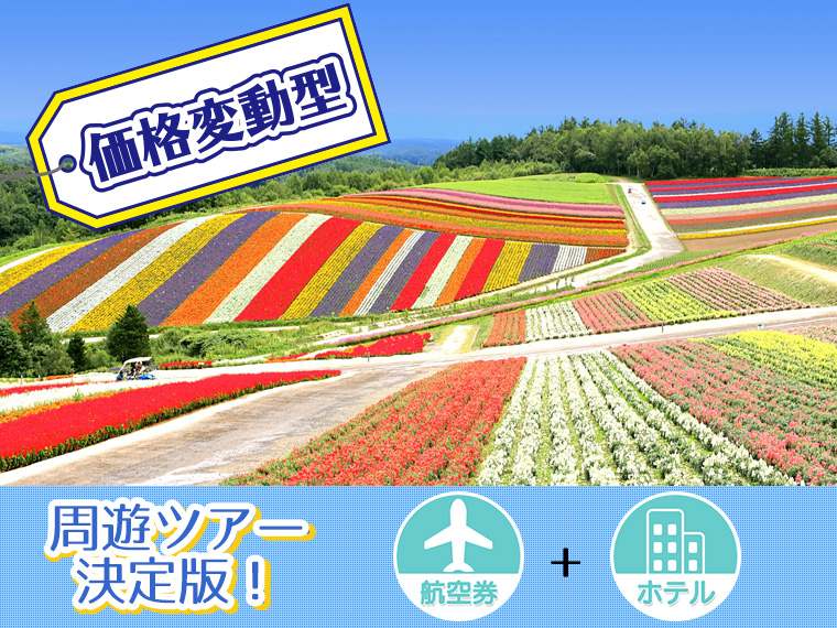 【変動】ANAで行く北海道フリーチョイス!中部発 2泊3日