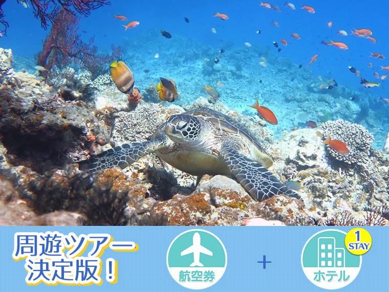 【変動】宮古島フリーチョイス!ホテル1泊付・関東発 1泊6日 延泊延長OK!