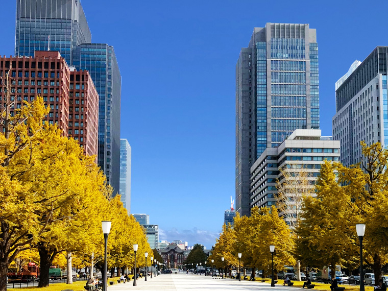 秋旅特集！東京自由自在！お得な1日乗車券付