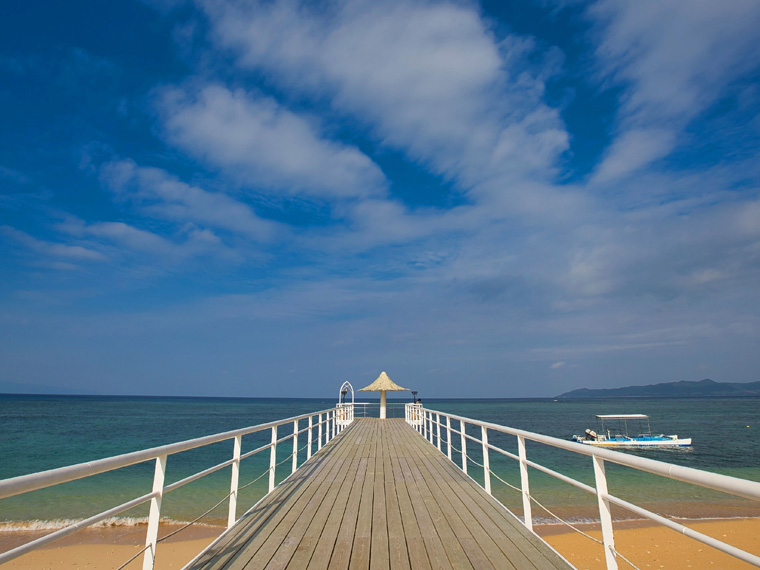 2024年7月～9月 この夏を満喫しよう!早期予約がお得!夏休み特集