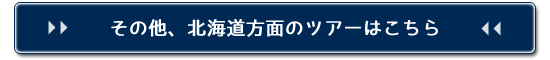 その他プランはこちら