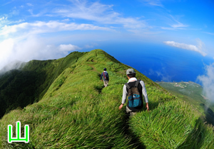 山