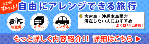 マルチ説明
