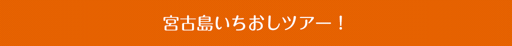 おすすめツアー